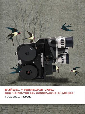 cover image of Buñuel y Remedios Varo